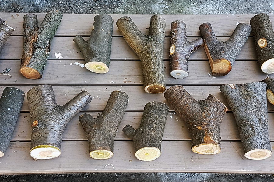 Using tree forks as loadbearing joints MaterialDistrict