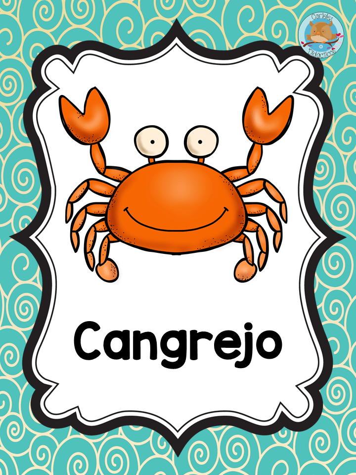 Estupedos y bonitos diseños de animales del océano