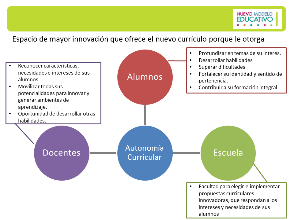 Estupendo resumen del nuevo modelo educativo 2017 Material Educativo