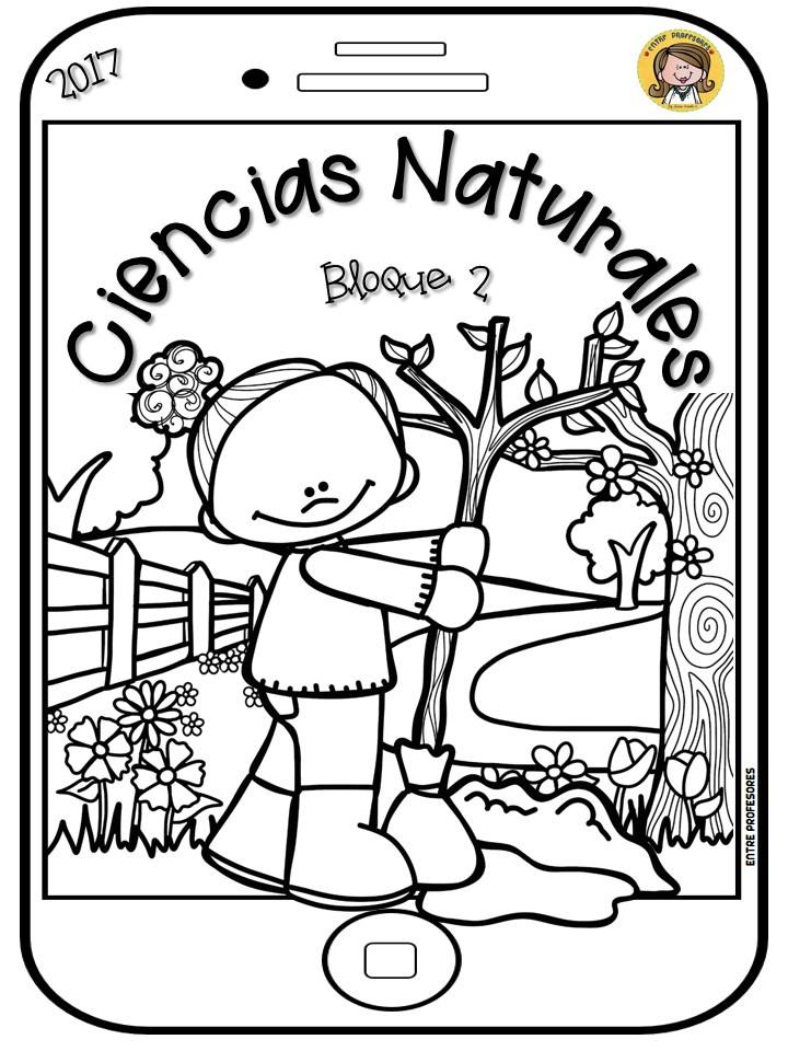 Fabulosas portadas para el bloque 2 Material Educativo