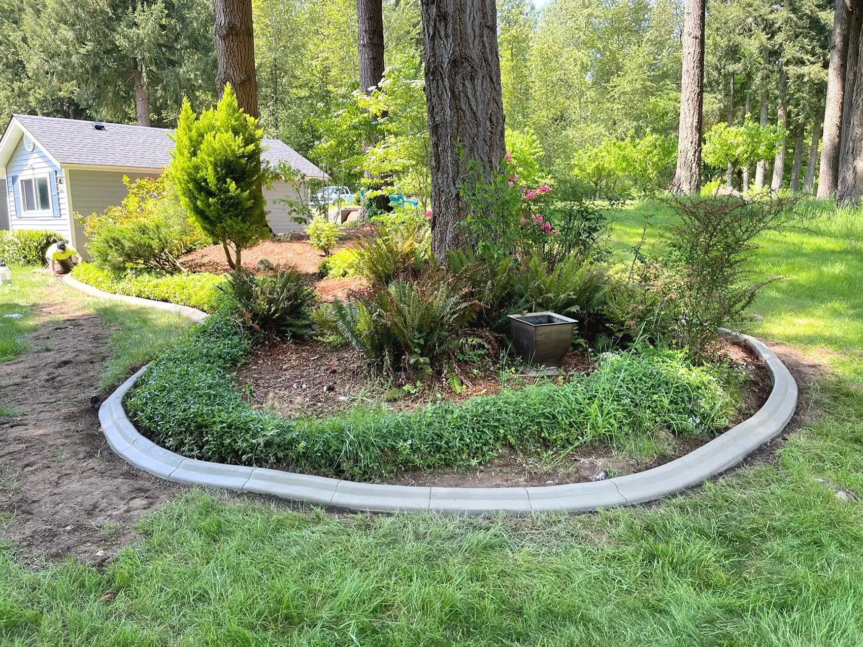 What is Landscape Curbing? The Ultimate Guide to Concrete Landscape