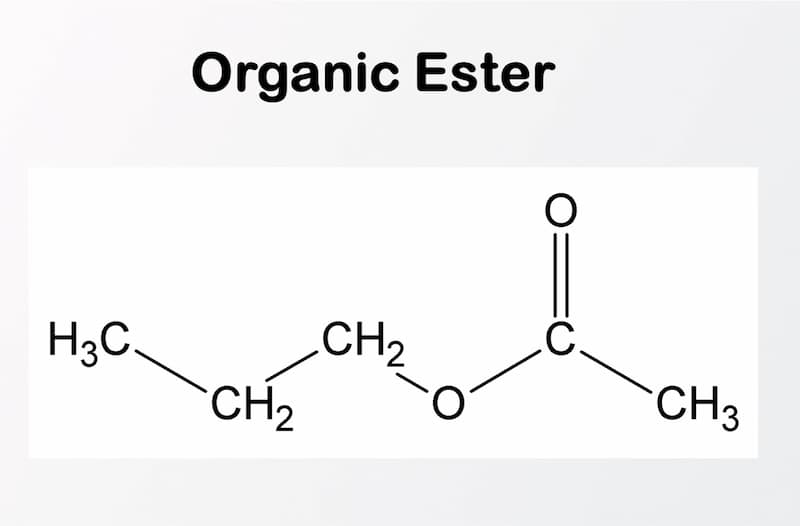 Difference Between Natural And Synthetic Esters