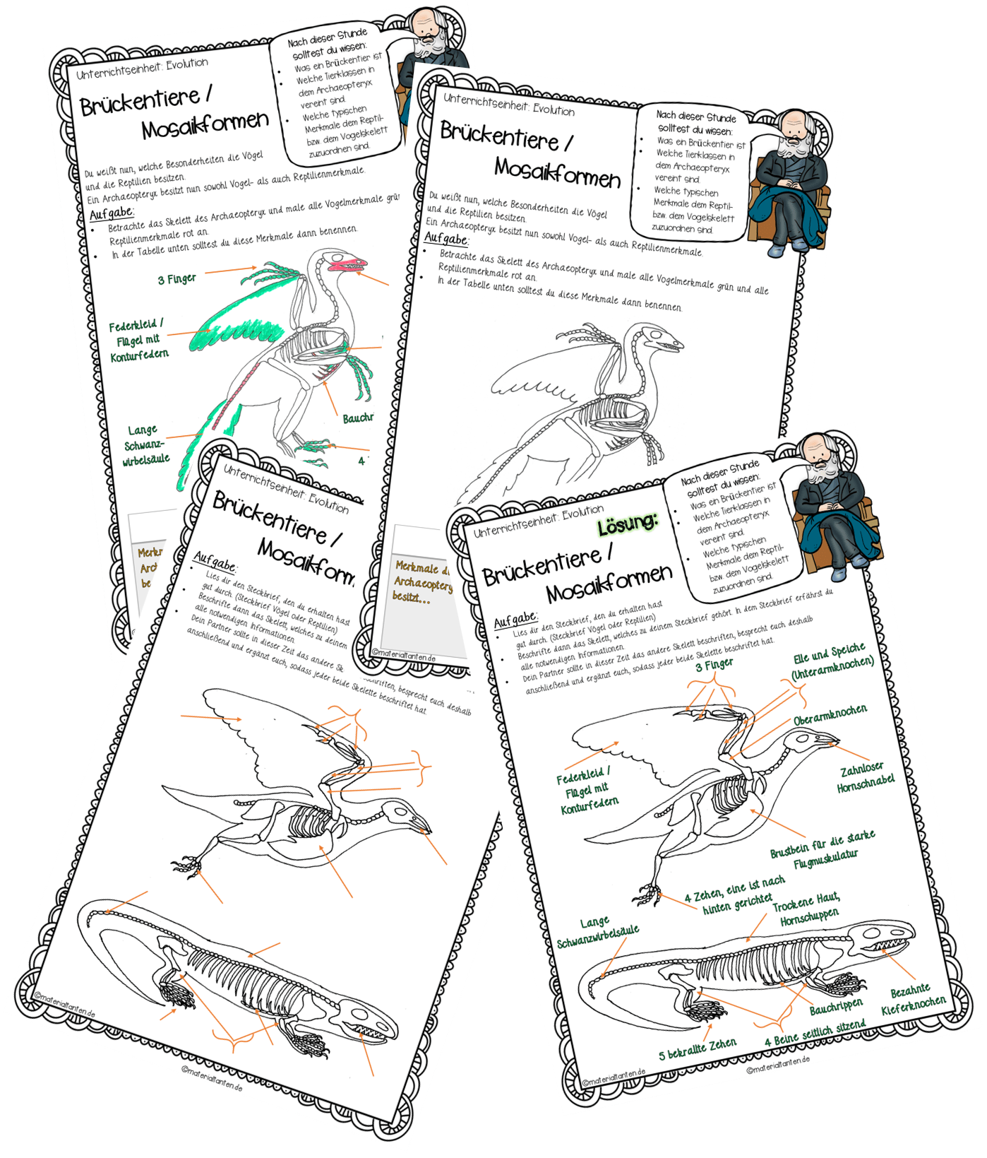 Evolution Brückentier Archaeopteryx Materialtanten