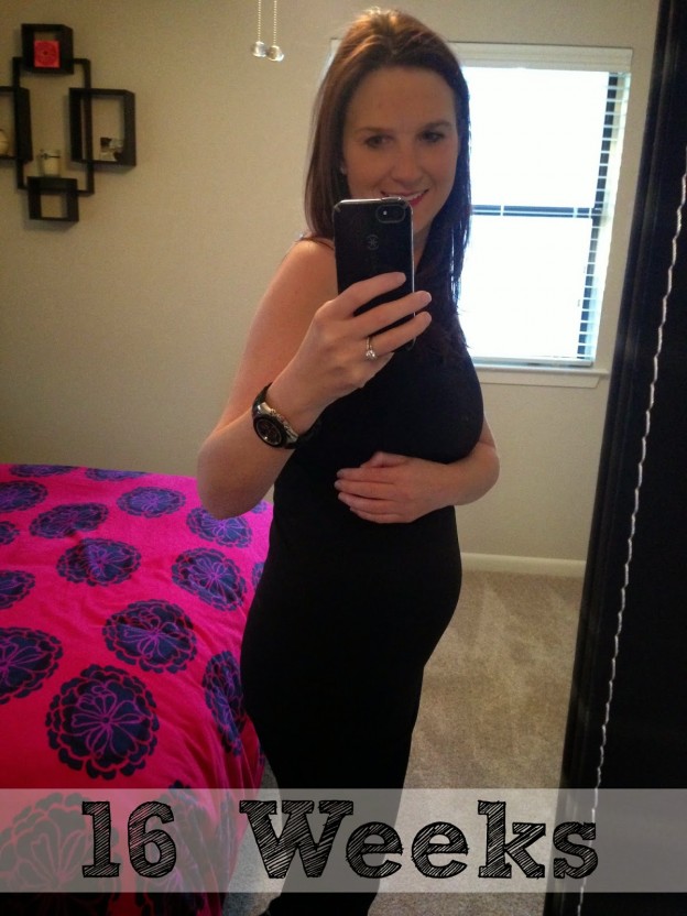 16 weeks pregnant The Maternity Gallery