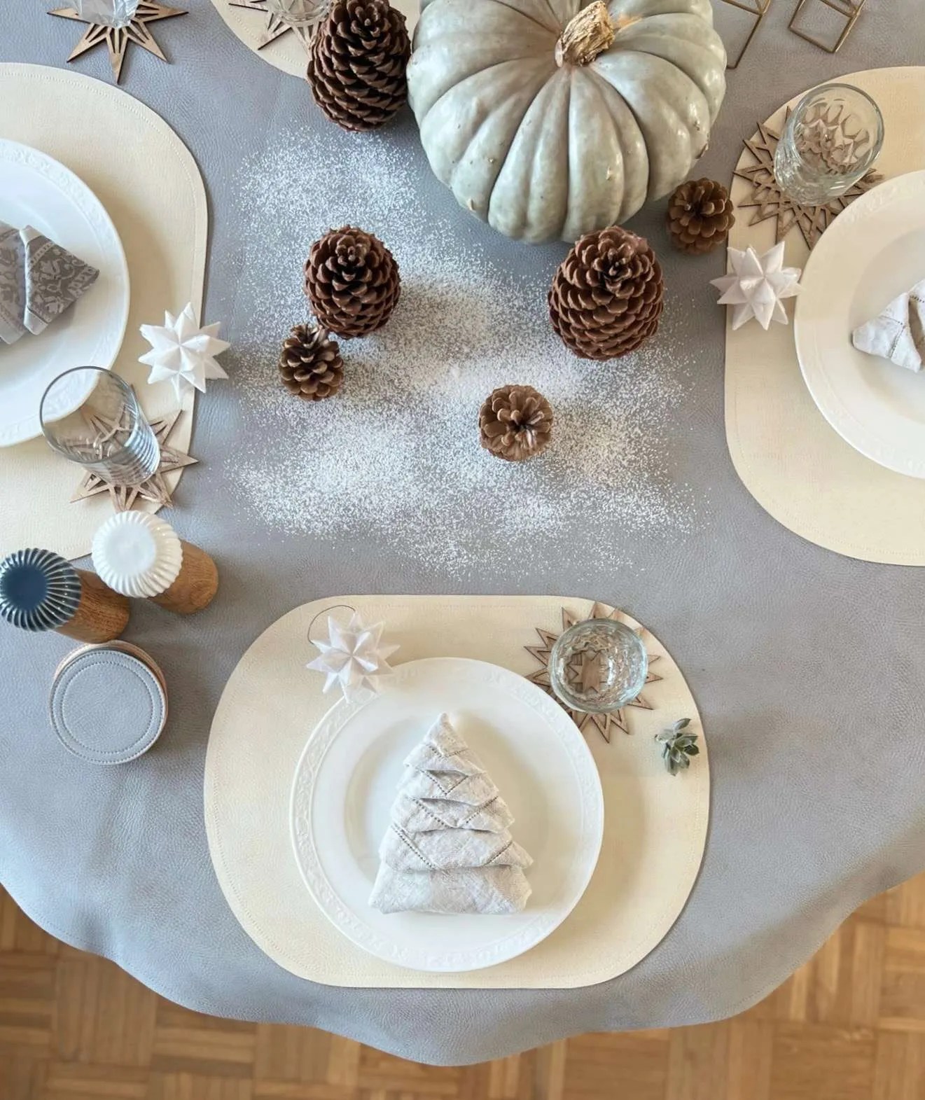 oval placemats / placemats washable, modern, vegan leather