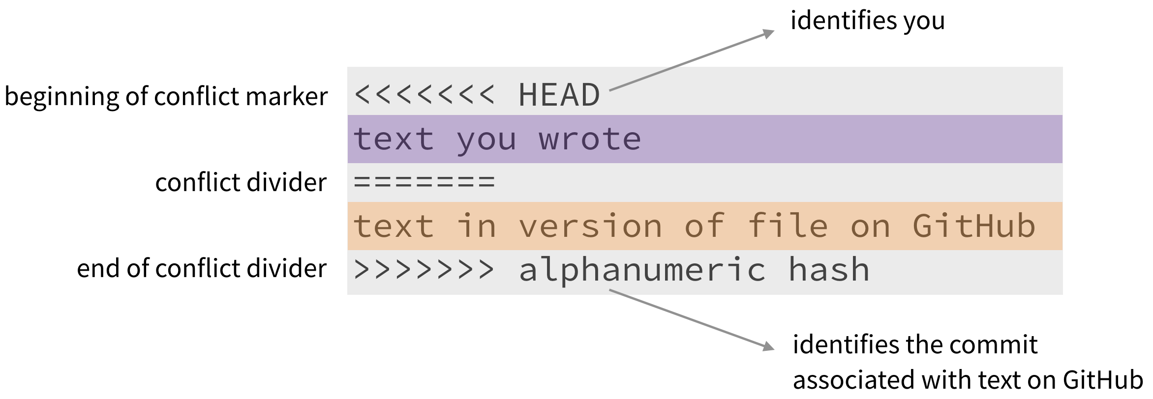 Math 218 Spring 2023 Project work day