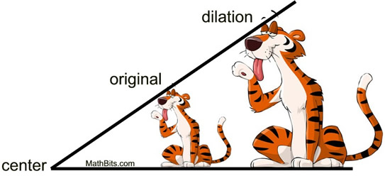 Dilation - Mathbitsnotebook(Jr)