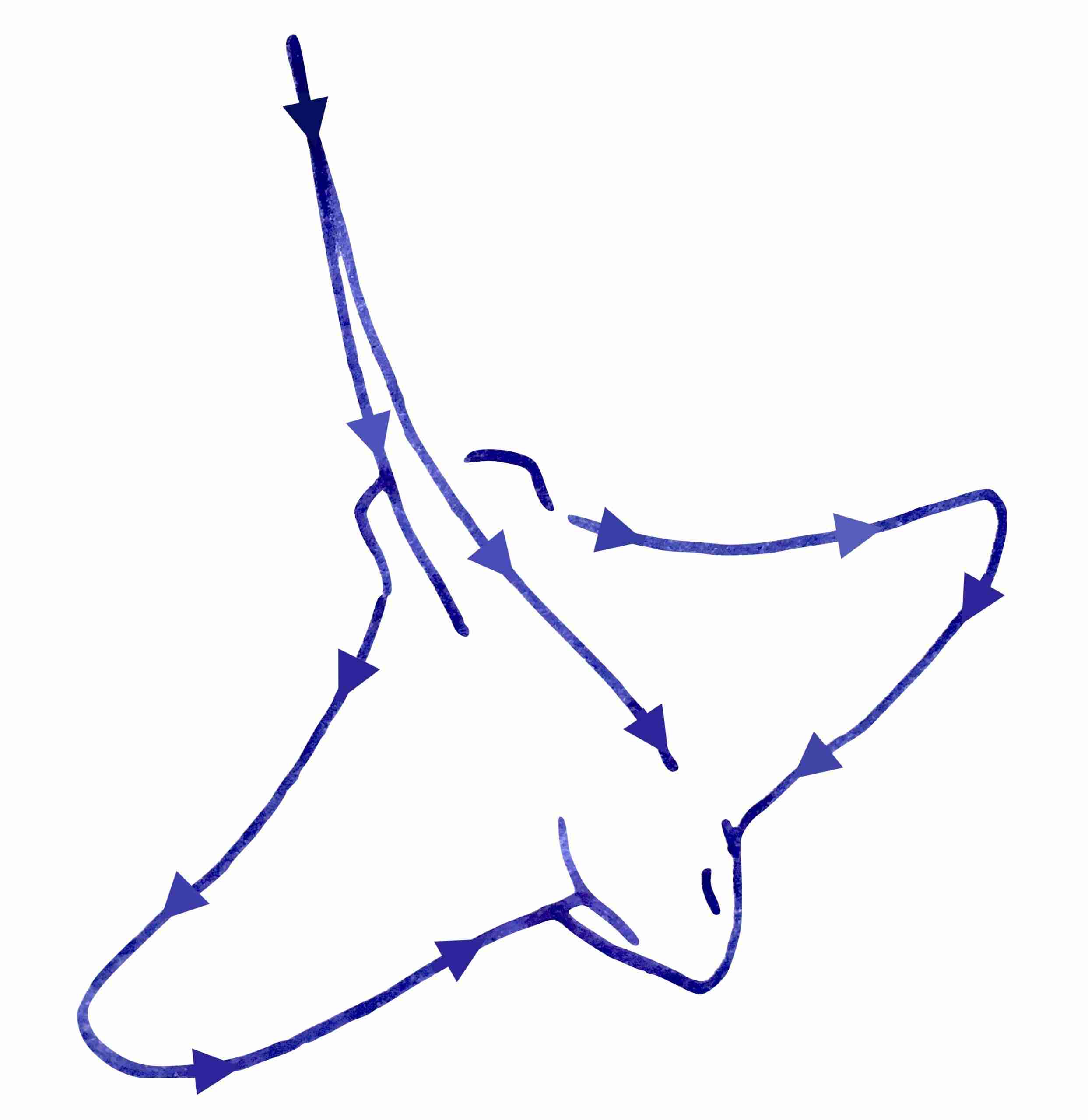 Bay Area Teachers and Mathematicians