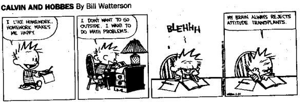 Calvin & Hobbes Math Comics Collection of 12