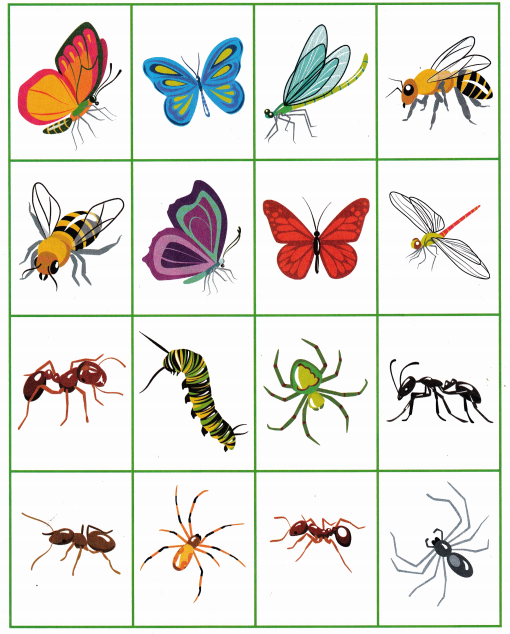 Math Expressions Kindergarten Student Activity Book Unit 3 Answer Key