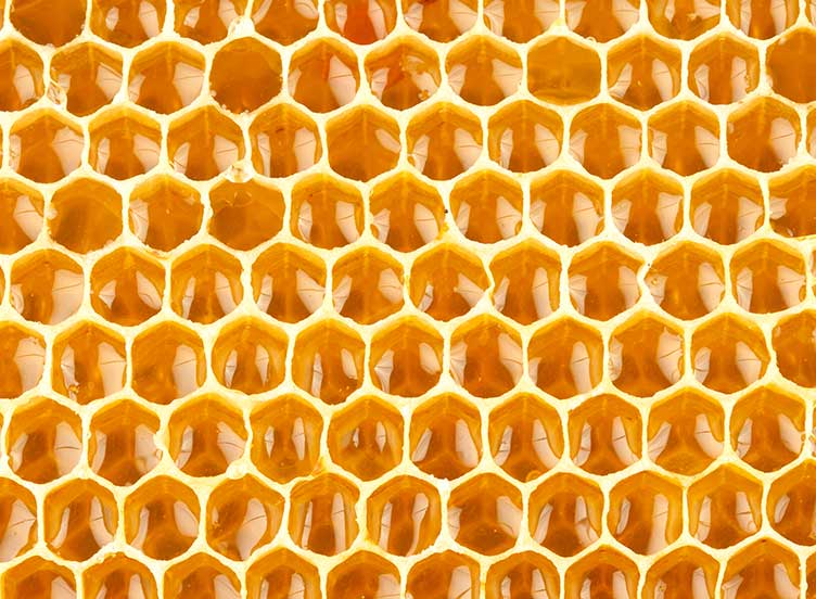 Symmetry Groups and Wallpapers Transformations and Symmetry Mathigon