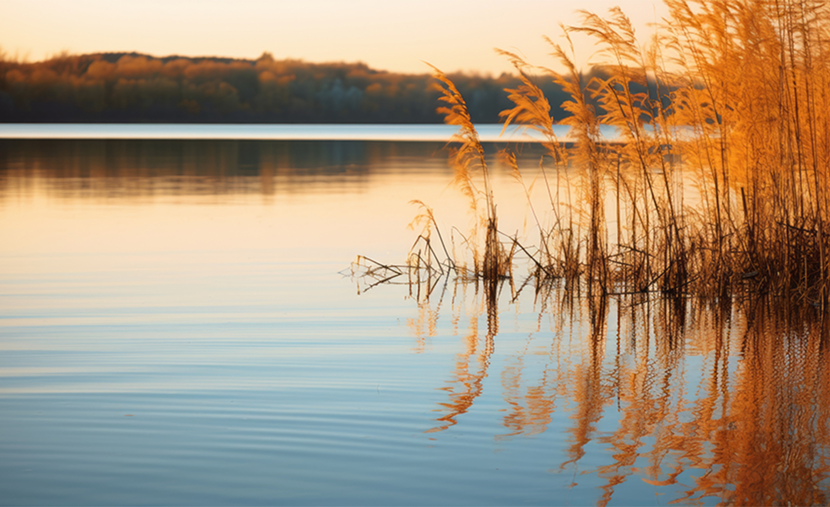 About Junction City Mathis Lueker Real Estate