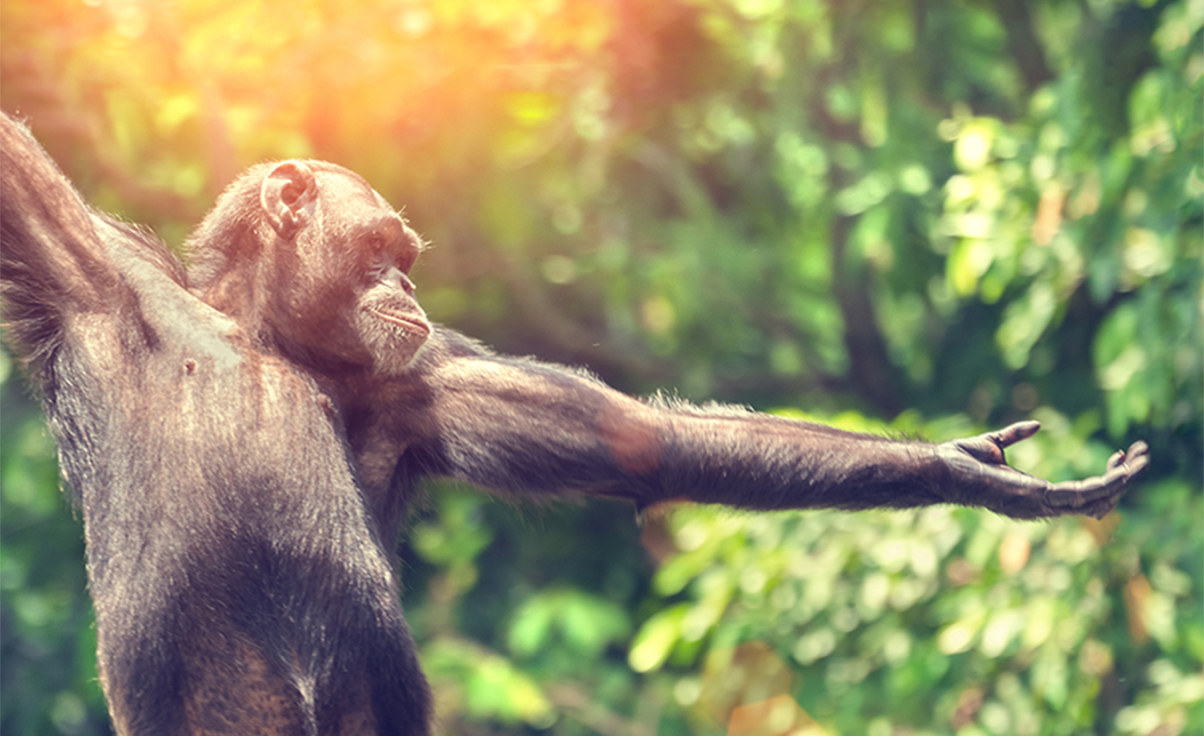 About Salina Mathis Lueker Real Estate