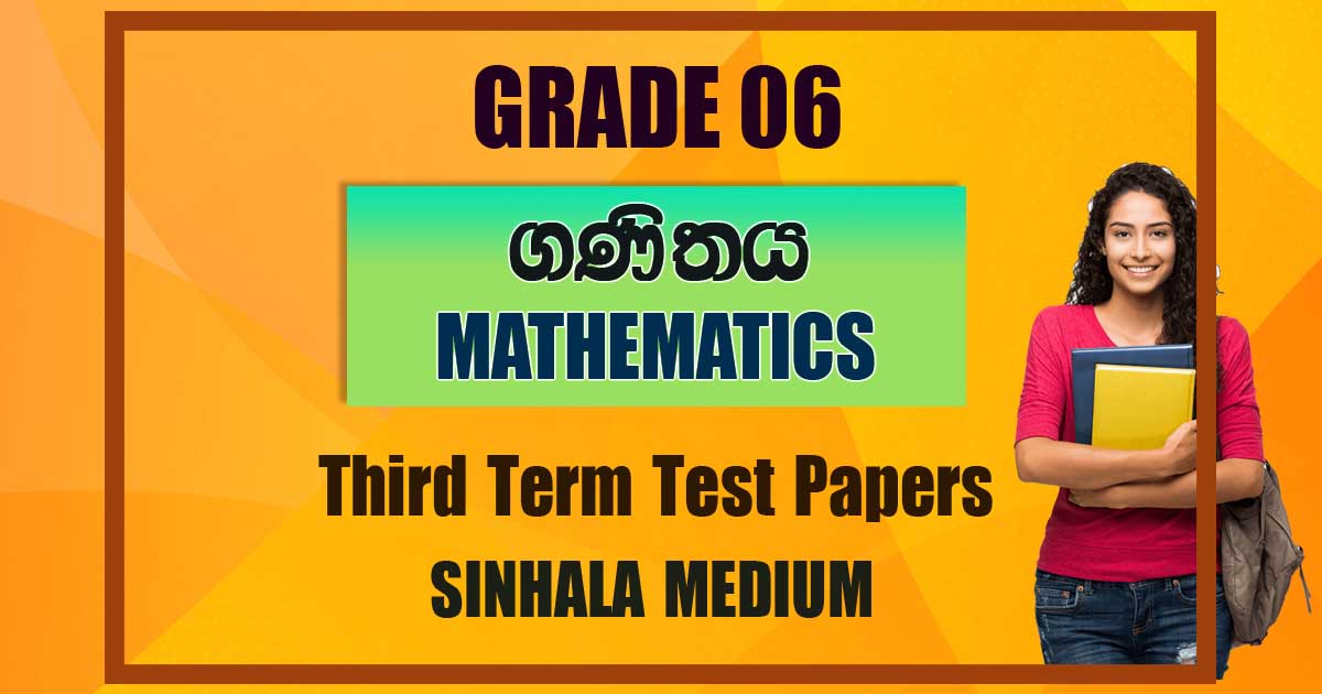 grade 06 maths third term test papers in sinhala medium