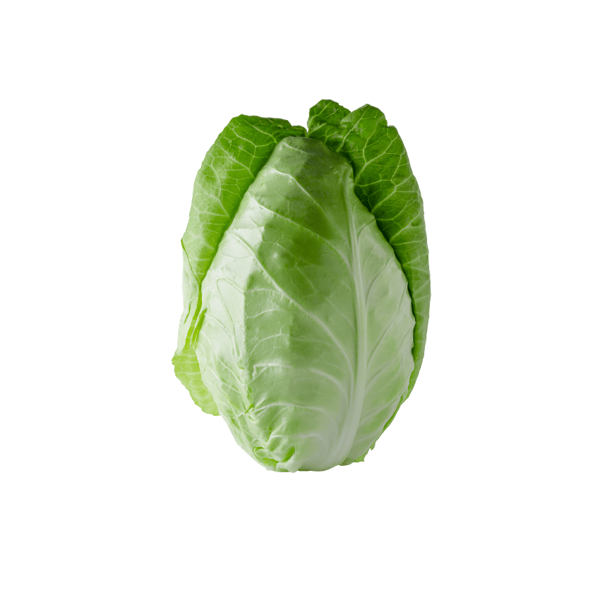 Cabbage Sugarloaf Matilda Fruit Barn