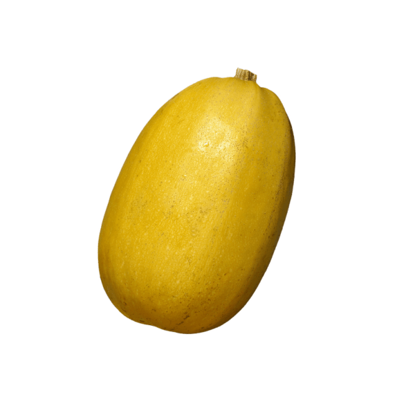 Spaghetti Squash Matilda Fruit Barn
