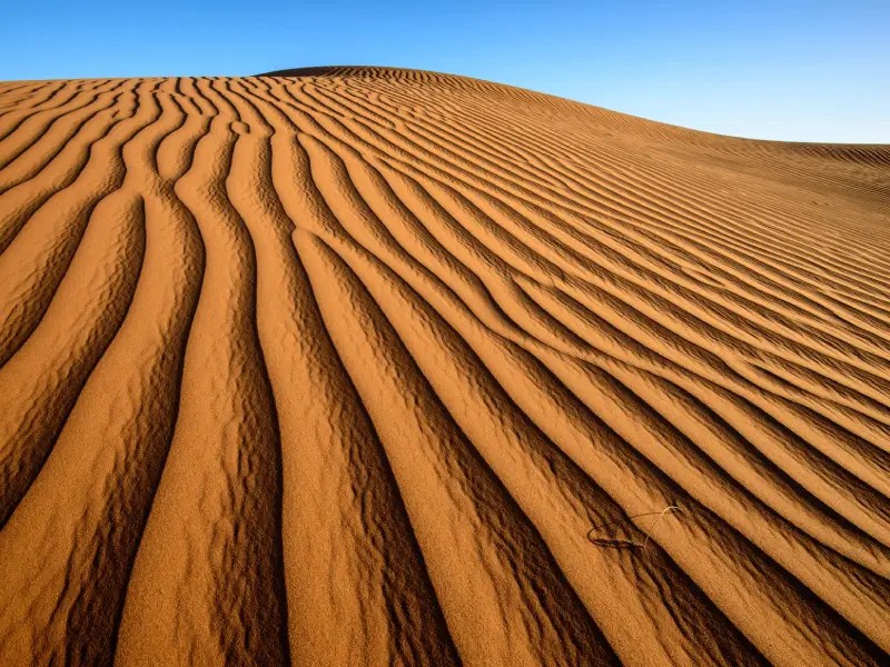 What Is a Sand Dune? (Types, Photos, Facts) Matin Abad