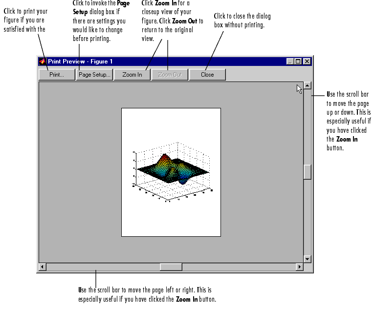 Invoking the Page Setup Dialog Box Graphical Interface Reference