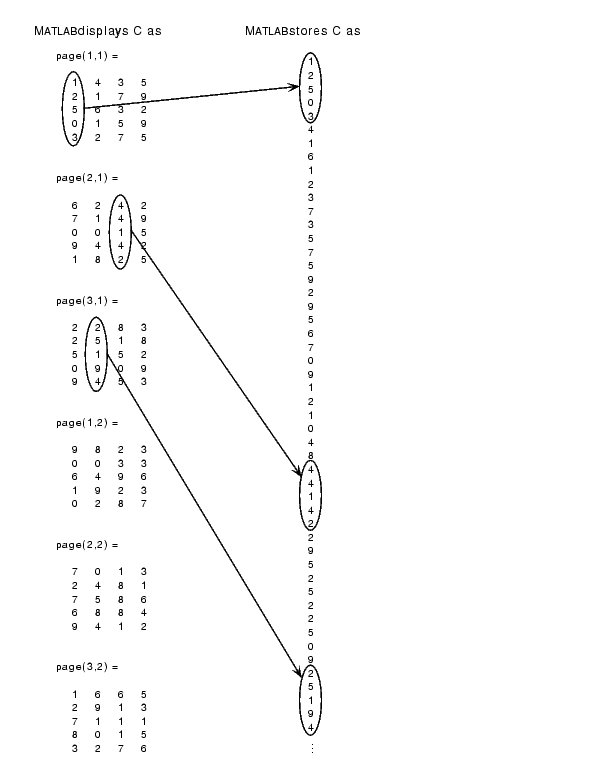 Indexing Multidimensional Arrays Data Structures (Programming)