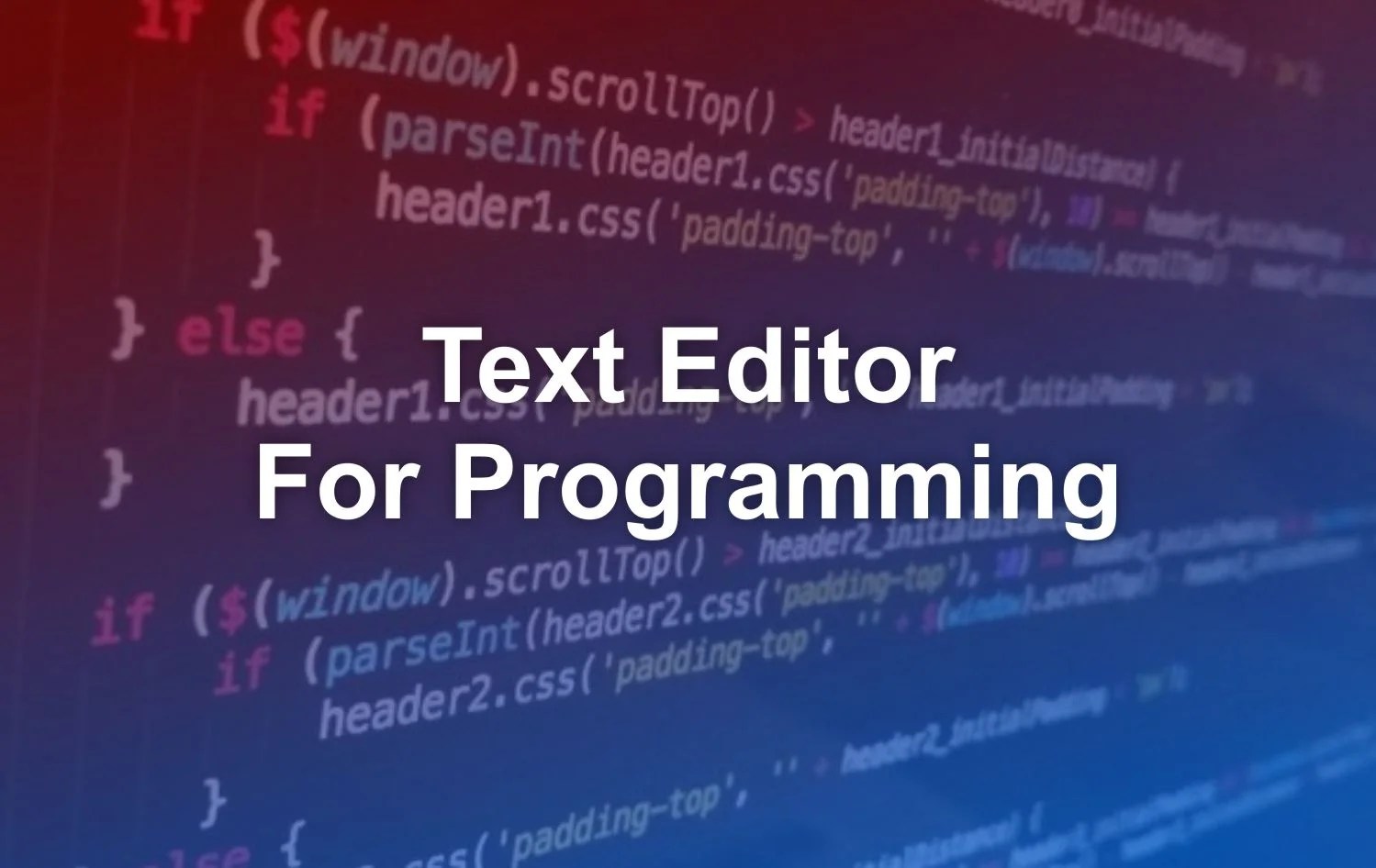 10 Best Text Editor For Programming Matob R