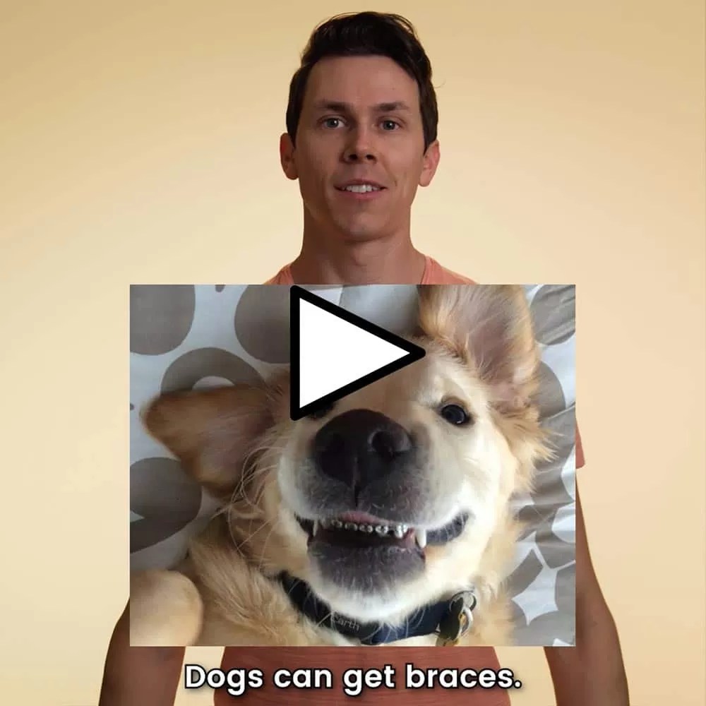 Do Dogs Ever Get Braces