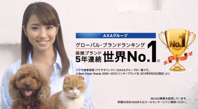 「治療費がかかるから次年度は契約できません」アクサのペット保険9年の保険料30万に対して、ここ3年の支払いが23万で継続不可判断 飼い主が困惑