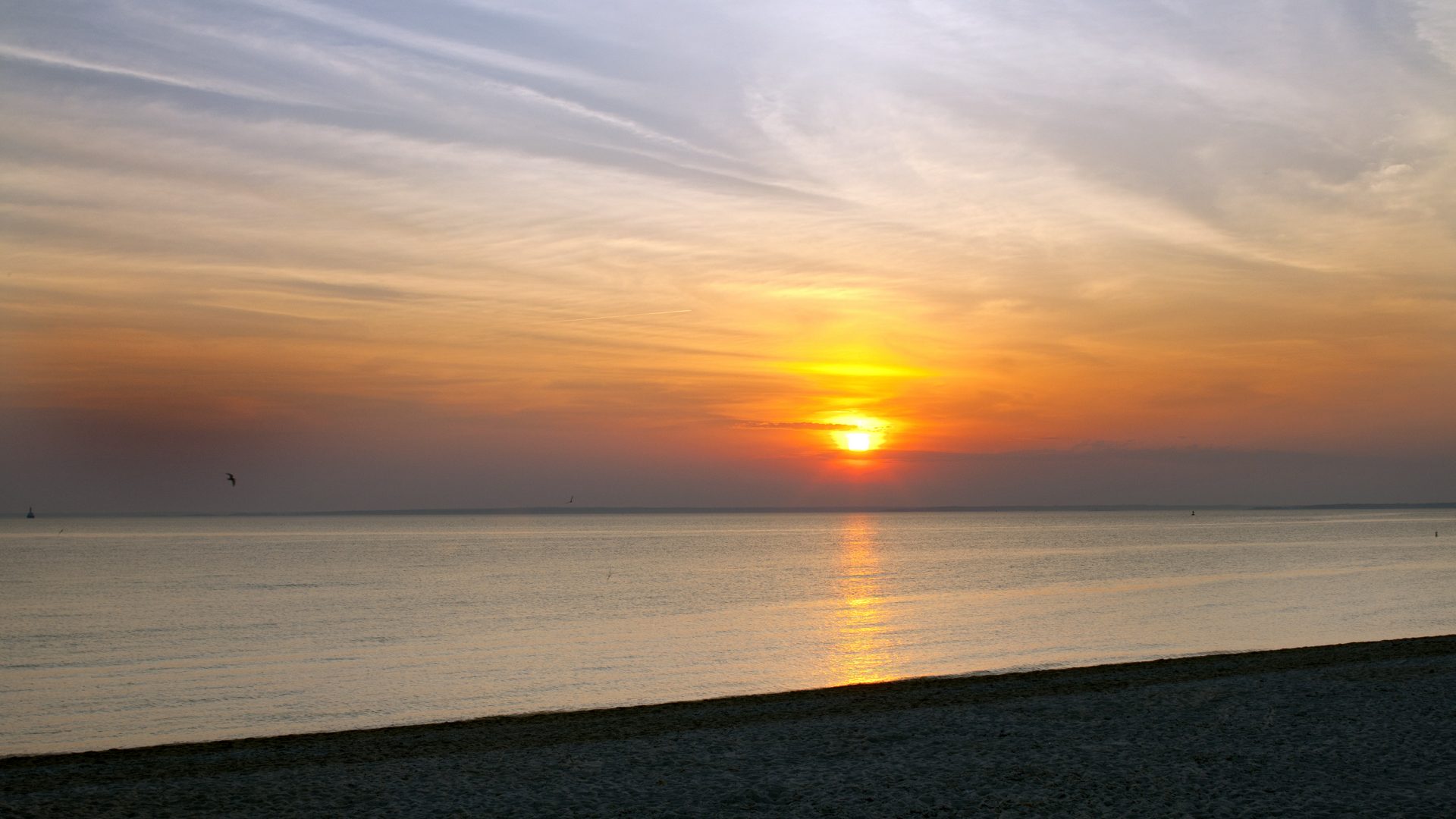 MARTA sunset MARTA