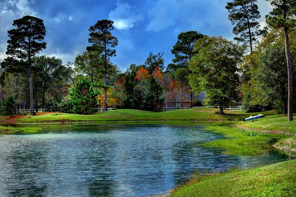 9011 Breckenridge Drive, Magnolia, TX 77354 Martha Turner Sotheby's