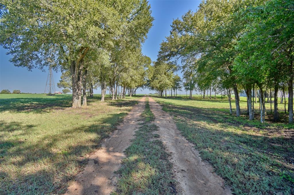 2333 HOLUB ROAD, SCHULENBURG, TX 78956 Country Homes & Ranches