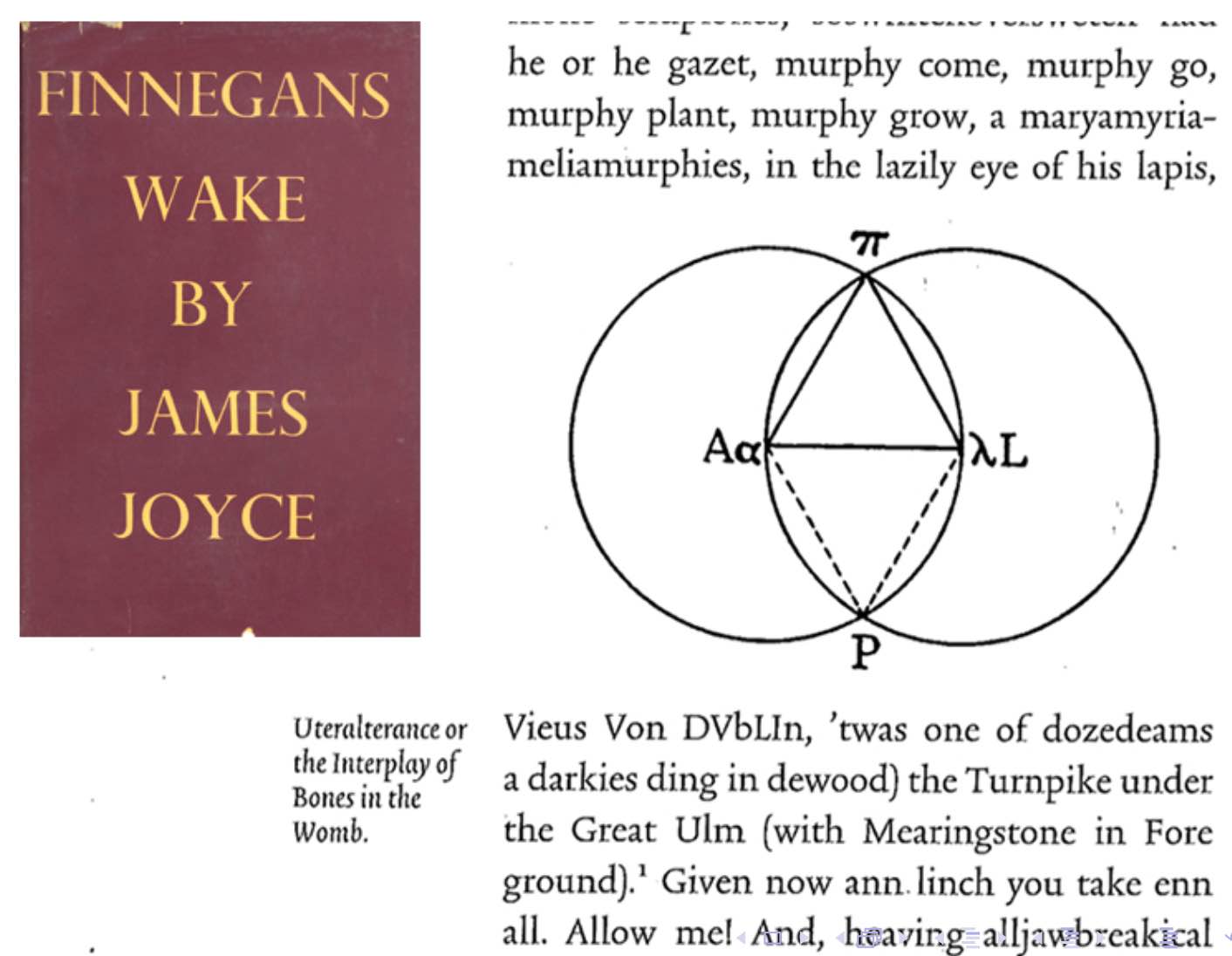 Finnegans Wake Excerpt
