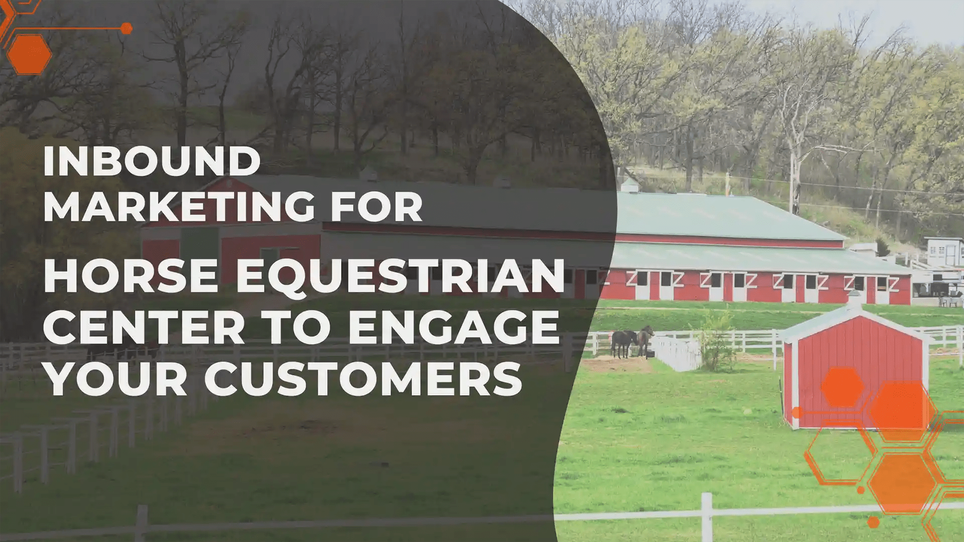 Exclusive Inbound Marketing for Horse Equestrian Center to Engage Your