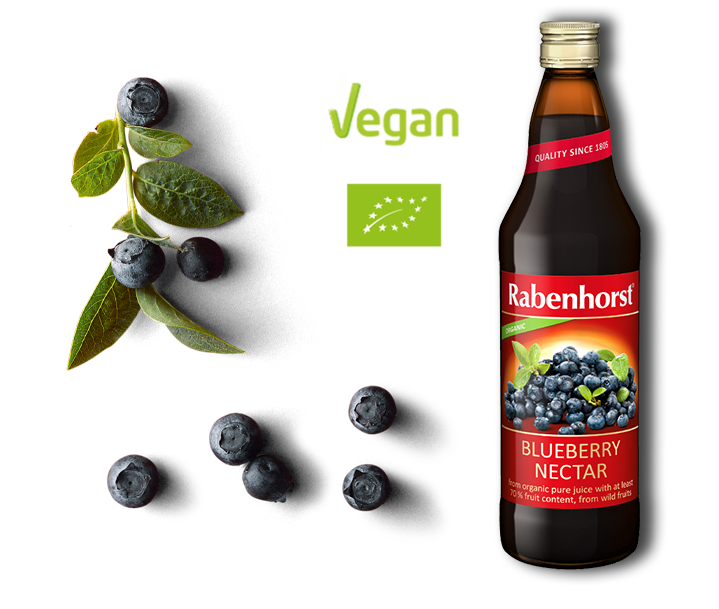 Rabenhorst Organic Wild Blueberry Nectar Juice Singapore
