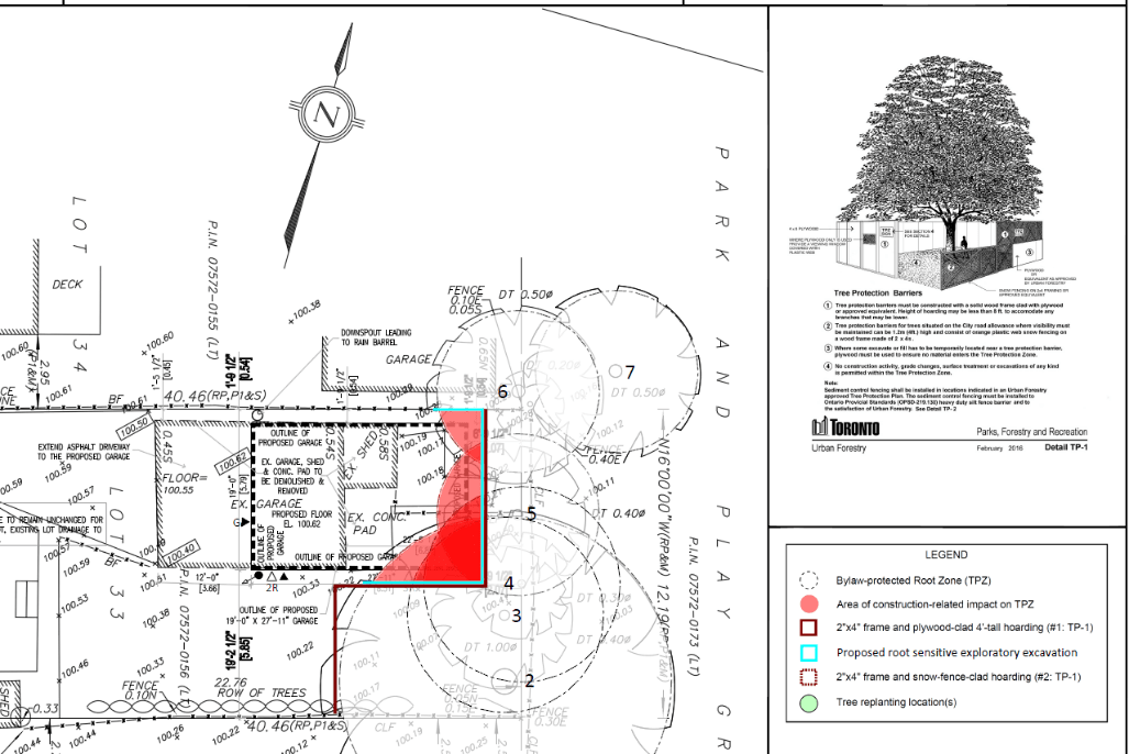 Construction Arborist Reports Matrix Tree Group