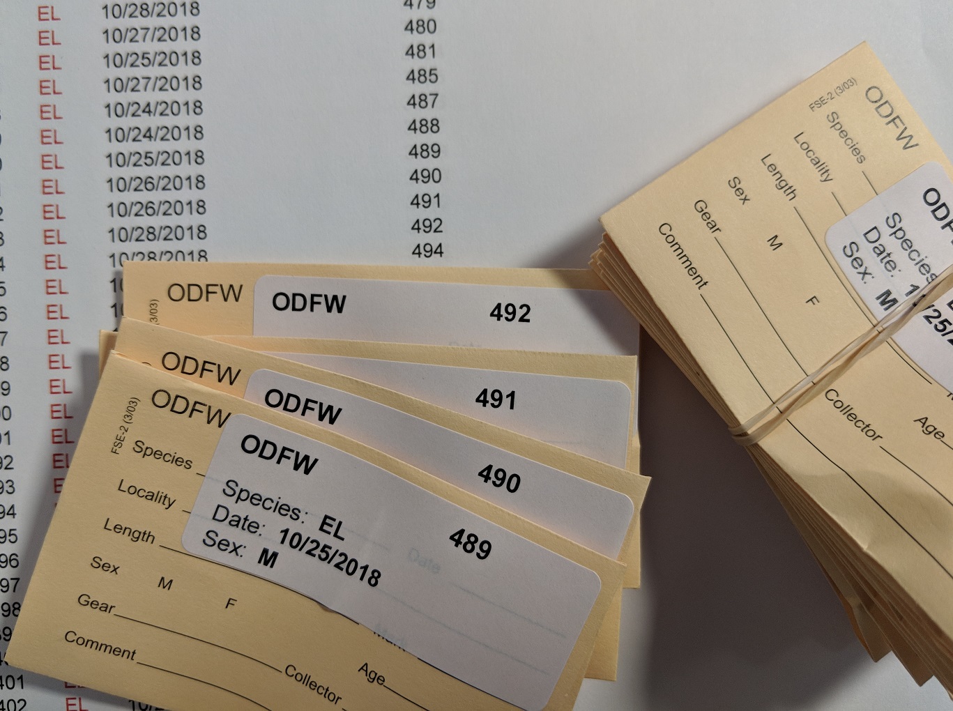 Envelopes Matson's Laboratory