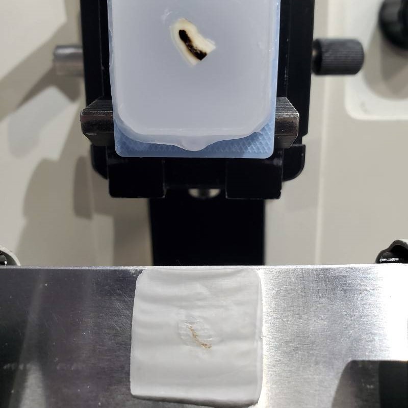 CloseUpSection_optim Matson's Laboratory