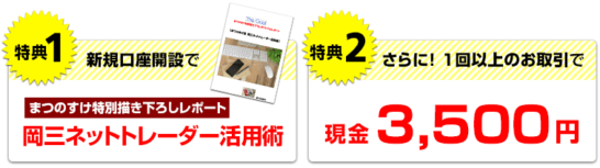 岡三オンライン証券のキャンペーン 2021 現金3 500円 レポートのプレゼント The Goal