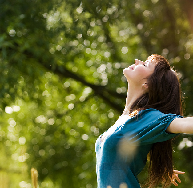 2 & 3 BHK Apartments for Sale in Balaji Nagar, Kurnool Mallow Heights