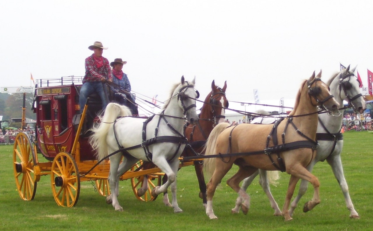‘Coach and horses was main transport a century ago’