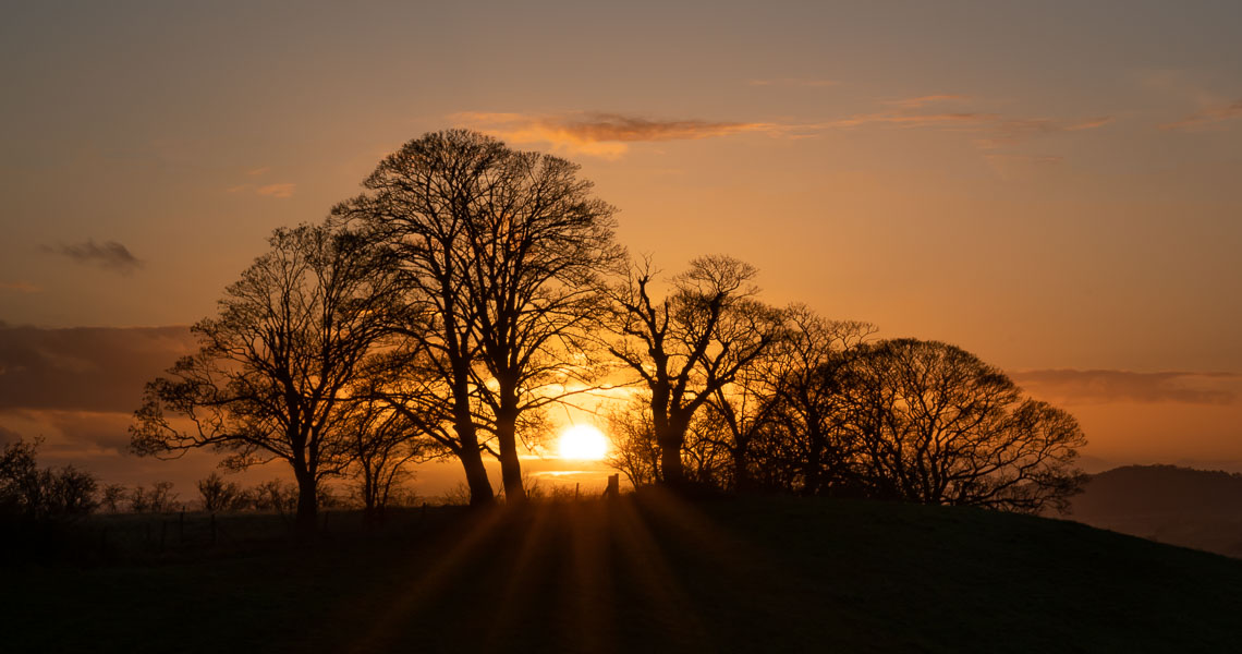 My Best Images From 2020 Matt Boxley Photography