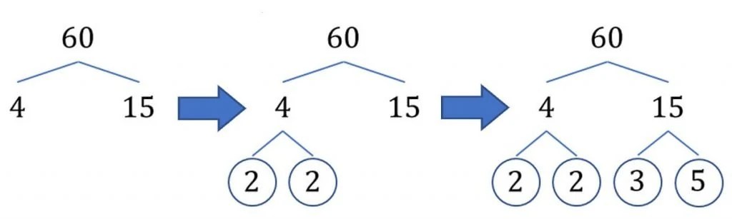 Factors of 60 and How to Find Them · Matter of Math