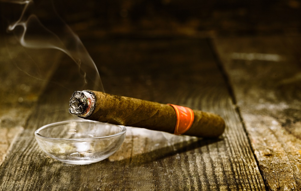 8 Things That a Real Cigar Smoker Never Does Matte World 2023