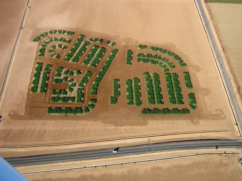 Matthew Moore Rotations Moore Estates