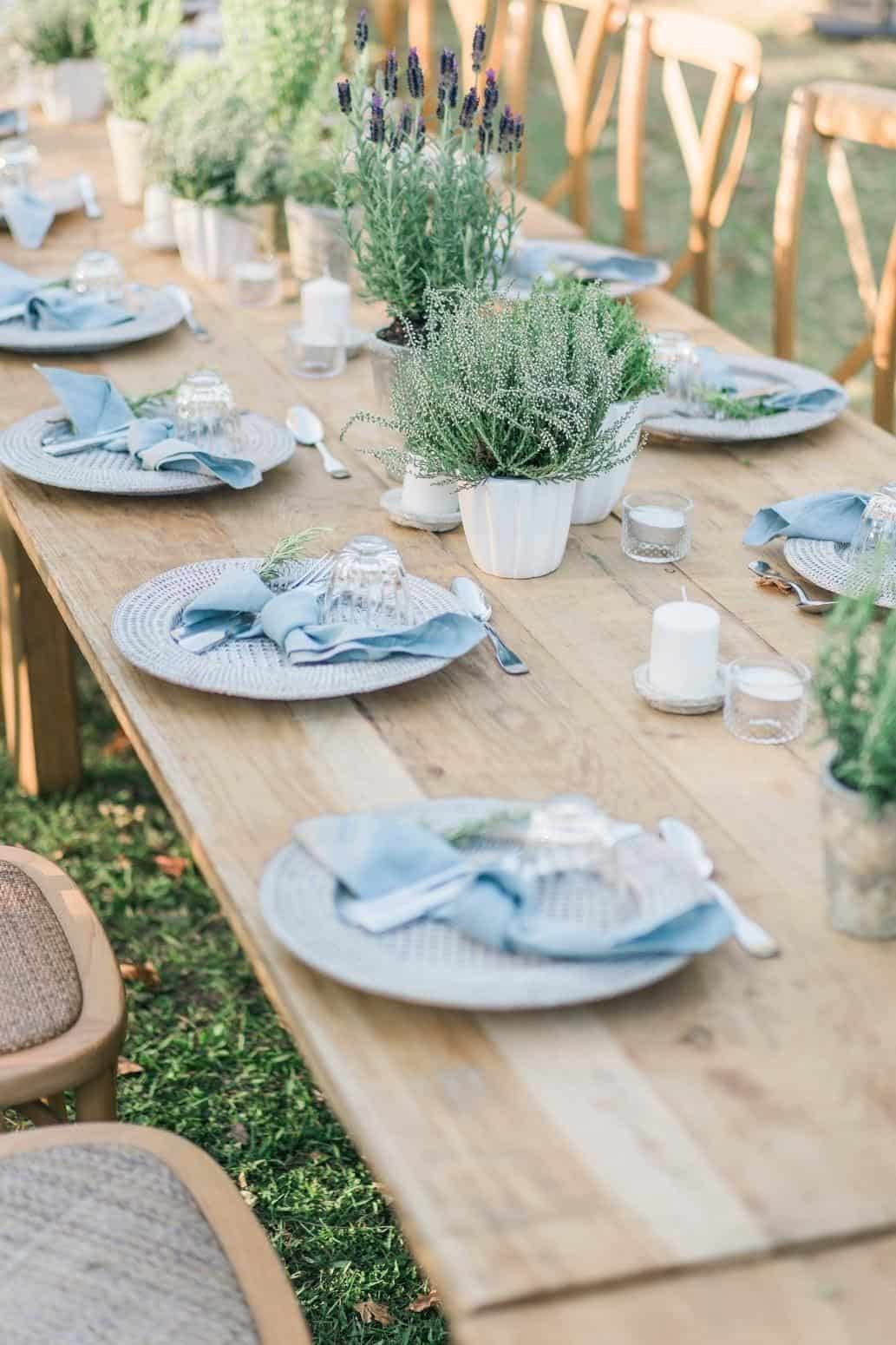 Plants, the Perfect Alternative to Flowers for Your Wedding Décor