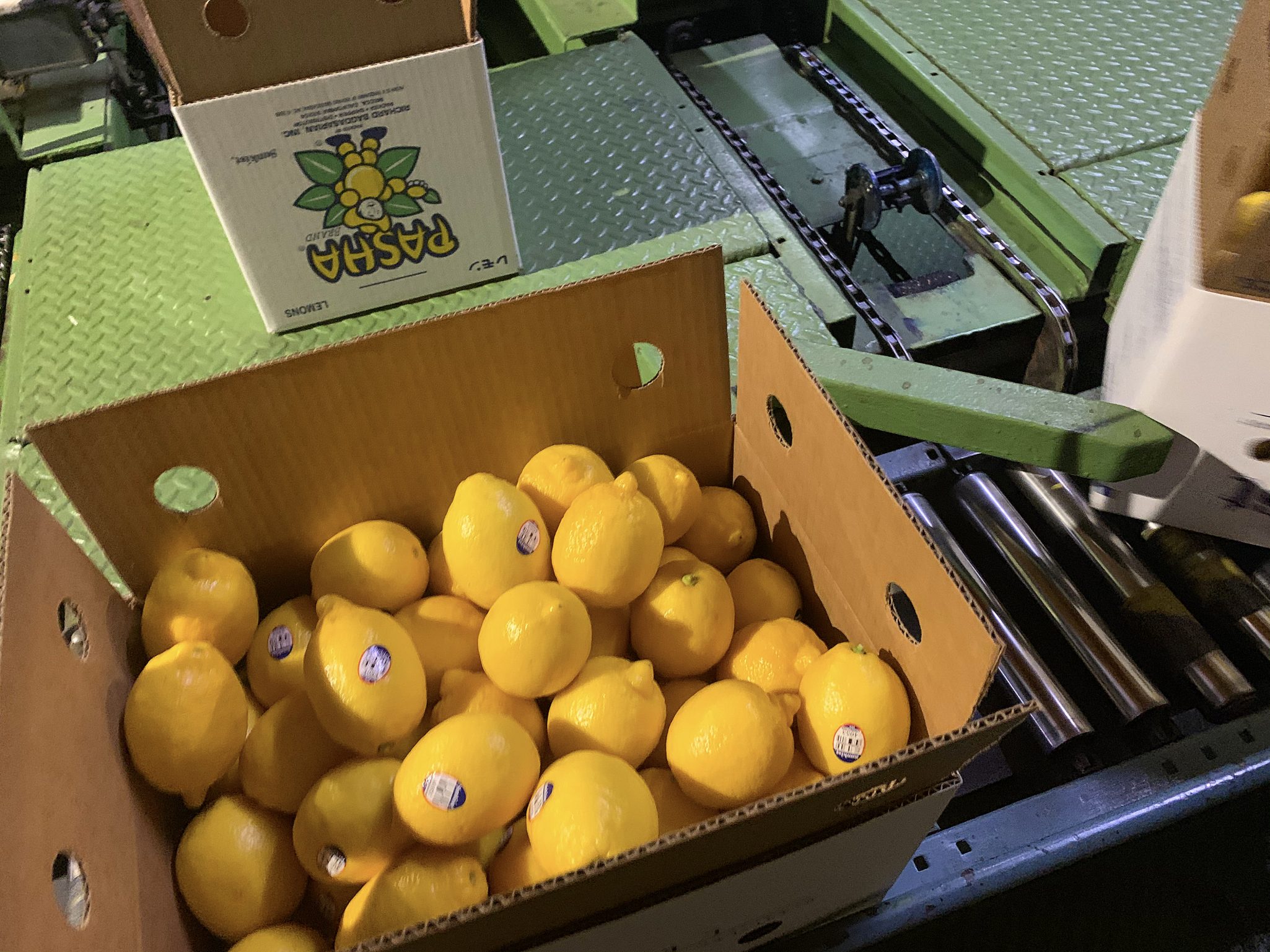 Consumable Cost Cut by 80 for Produce Packer Matthews Marking Systems