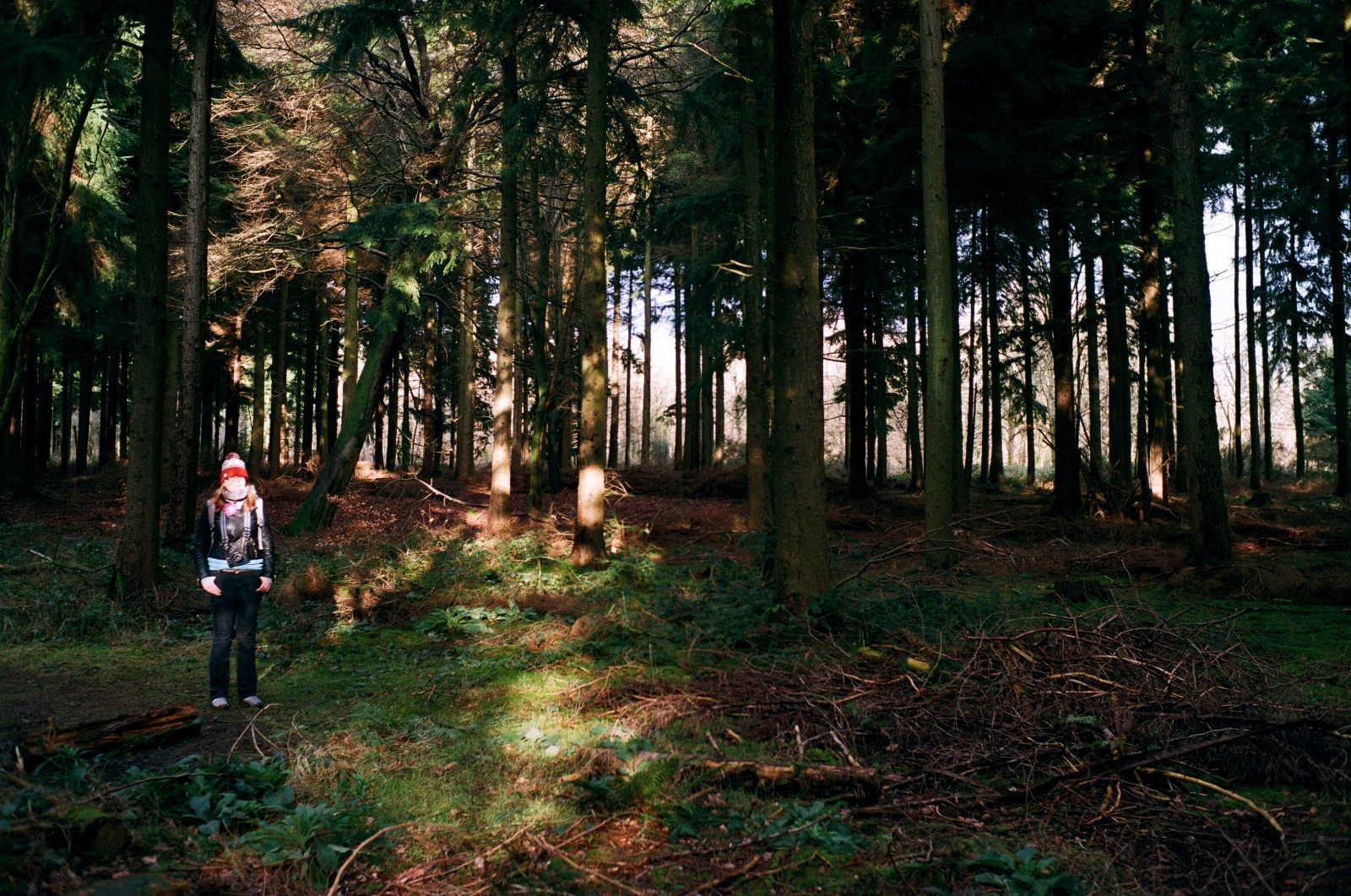 Queen Elizabeth Country Park · MattMaber