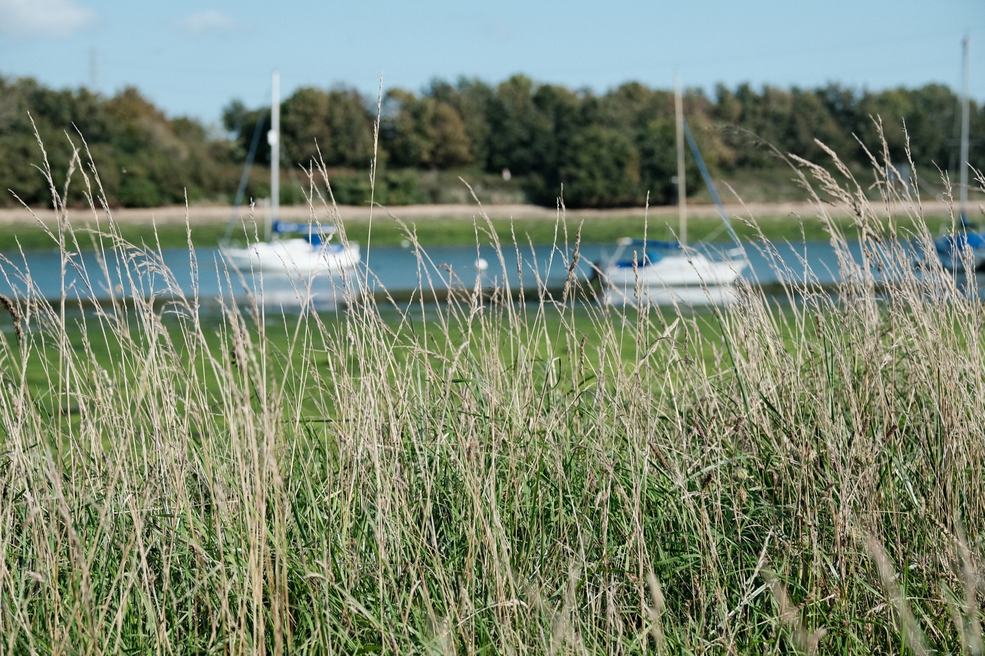 Fareham Creek · MattMaber