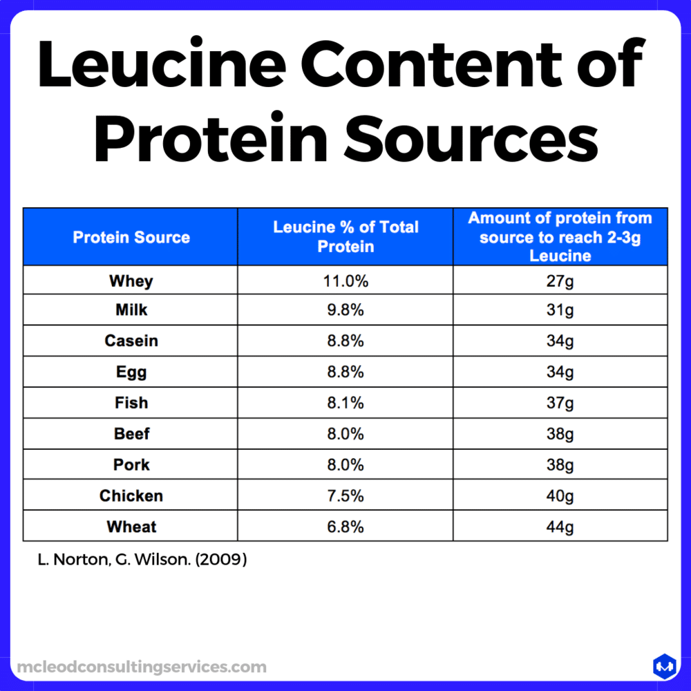 Literally Everything You Need To Know About Protein And Muscle Growth