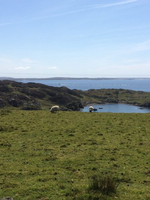 Middle Quarter, Inishbofin Island, Co. Galway Matt O'Sullivan