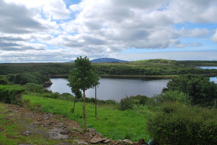 3 Dooneen Cottages, Dooneen, Clifden, Co. Galway H71 XR25 Matt O