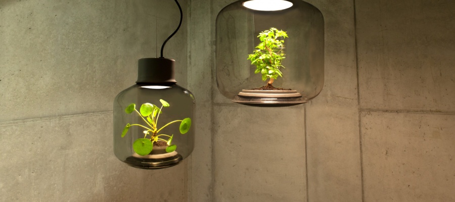 växtlampor biltema Växtbelysning – Ockerpriser, Ekonomiköp Eller Vilda Chansningar? – Matträsket